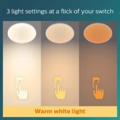 Philips Superslim Indoor Luminaire Flush To Ceiling Light -Home Sales Store 1122547 R Z004A