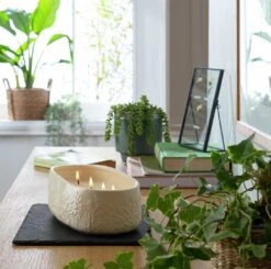 Habitat Large Scallop Multiwick Thin Candle - Flower Market -Home Sales Store 1182673 R Z001C