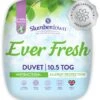 Slumberdown Ever Fresh 10.5 Tog Duvet - Single -Home Sales Store 1256767 R Z001A