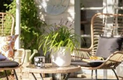 Habitat Curve White Ceramic Planter -Home Sales Store 1259290 R Z004C