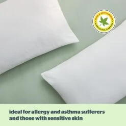 Silentnight Anti-Allergy Medium/ Soft Pillow - 2 Pack -Home Sales Store 1274299 R Z006A