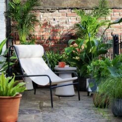 Habitat Teka Metal Garden Chair - Cream -Home Sales Store 1304750 R Z002C