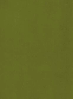 Habitat Alexis Velvet Cocktail Chair - Olive -Home Sales Store 1341287 R B001