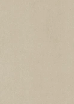 Habitat Alexis Velvet Cocktail Chair - Cream -Home Sales Store 1341294 R B001