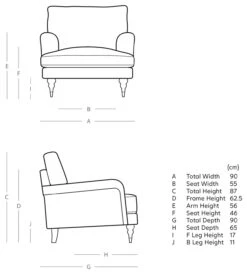 Swoon Charlbury Velvet Armchair - Biscuit -Home Sales Store 2003816 R E001