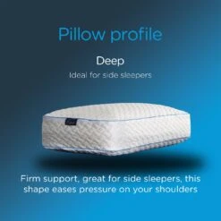 Snuggledown Bliss Cool Touch Memory Foam Firm Pillow -Home Sales Store 2253518 R Z004A