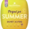 Slumberdown Summer Non Allergic 4.5 Tog Duvet - Single -Home Sales Store 2842905 R Z001A