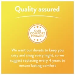 Slumberdown Summer Non Allergic 4.5 Tog Duvet - Single -Home Sales Store 2842905 R Z011A