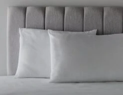 Habitat Anti-Allergy Firm Pillow - 2 Pack -Home Sales Store 2910765 R Z004C