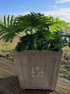 Terrastyle 36cm Plastic Square Brown Boxwood Pot 8 Terrastyle 36cm Plastic Square Brown Boxwood Pot -Home Sales Store 3107412 R Z003A