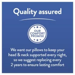 Slumberdown Cool Max Memory Support Firm Pillow -Home Sales Store 4539481 R Z010A