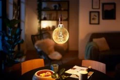 Philips LED Filament E27 6.5W (40W) Dim Giant Bulb + Cord -Home Sales Store 8957935 R Z004A