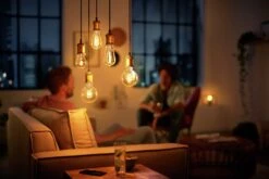 Philips LED Filament E27 6.5W (40W) Dim Giant Bulb + Cord -Home Sales Store 8957935 R Z006A