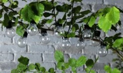 Habitat 20 Warm White Festoon Solar Lights -Home Sales Store 9133916 R Z006A