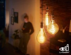 Philips LED Filament E27 6.5W (40W) Dim Giant Bulb - Gold -Home Sales Store 9193798 R Z004A