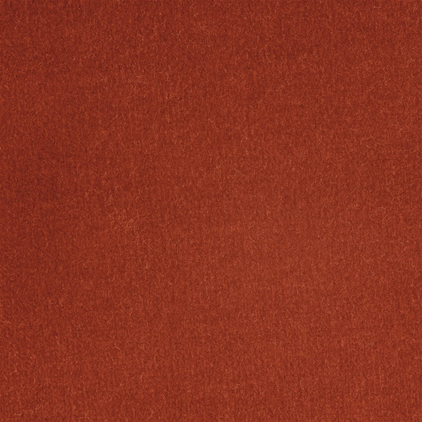 Habitat Fenner Velvet 2 Seater Sofa - Orange 4 Habitat Fenner Velvet 2 Seater Sofa - Orange - Image 2