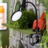 Habitat Mopsa Clip Lamp - Black -Home Sales Store 9405338 R Z001A