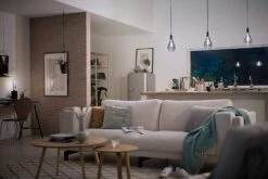 Philips LED Filament E27 6.5W (25W) Dim Giant Bulb - Smoky -Home Sales Store 9420090 R Z003A