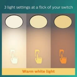 Philips Super Slim Flush To Ceiling Light - Black -Home Sales Store 9454956 R Z006A