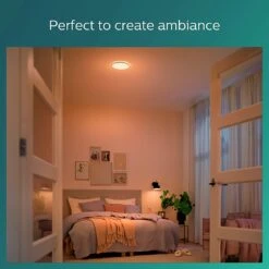 Philips Super Slim Flush To Ceiling Light - Black -Home Sales Store 9454956 R Z007A