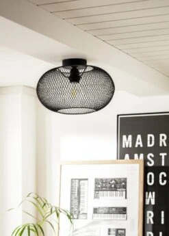 Habitat Tumba Mesh Flush To Ceiling Light - Black -Home Sales Store 9481156 R Z002C